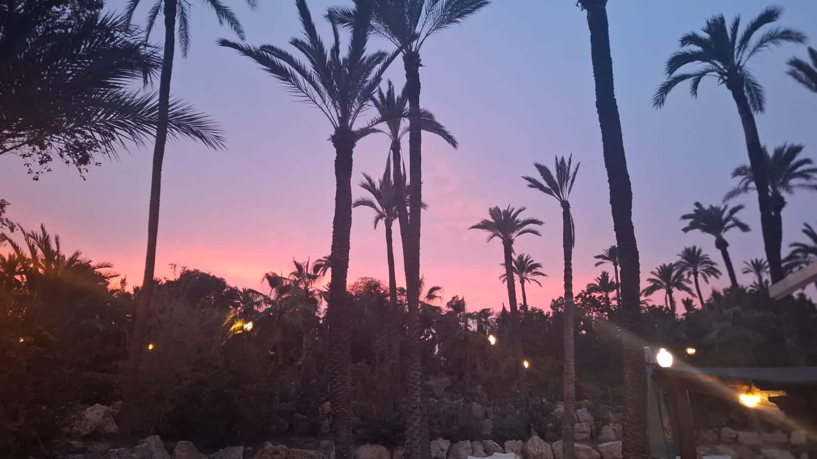 Terraza en el parque con música y sombra